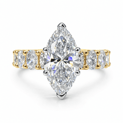 The Olivia