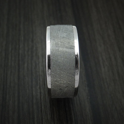 Oak XVII - Cobalt Chrome and Gibeon Meteorite Men's Wedding Ring - view 3 - Nura Lab