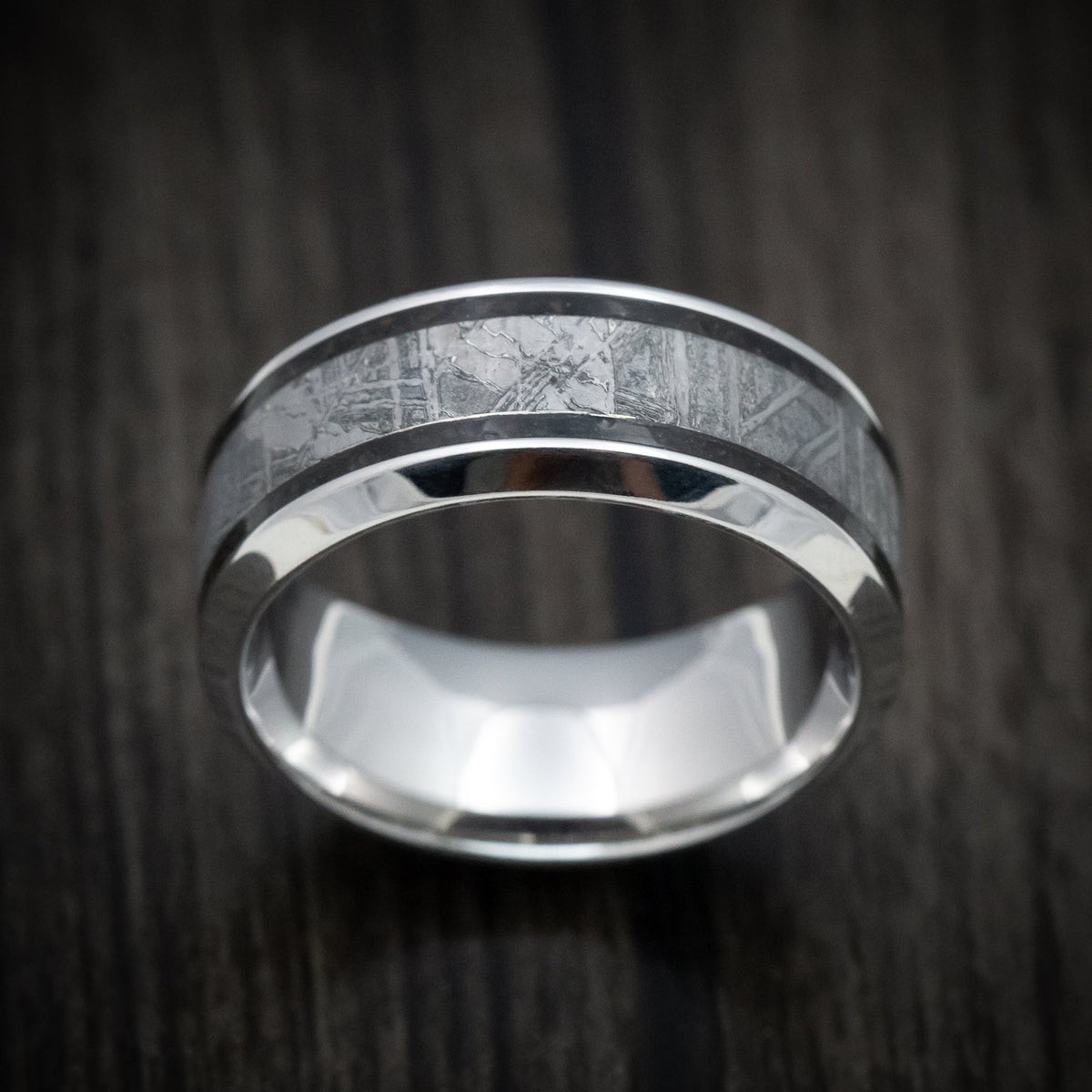 Dusk XVI - Cobalt Chrome Men's Wedding Ring with Dinosaur Bone and Meteorite Inlays Band - view 2 - Nura Lab