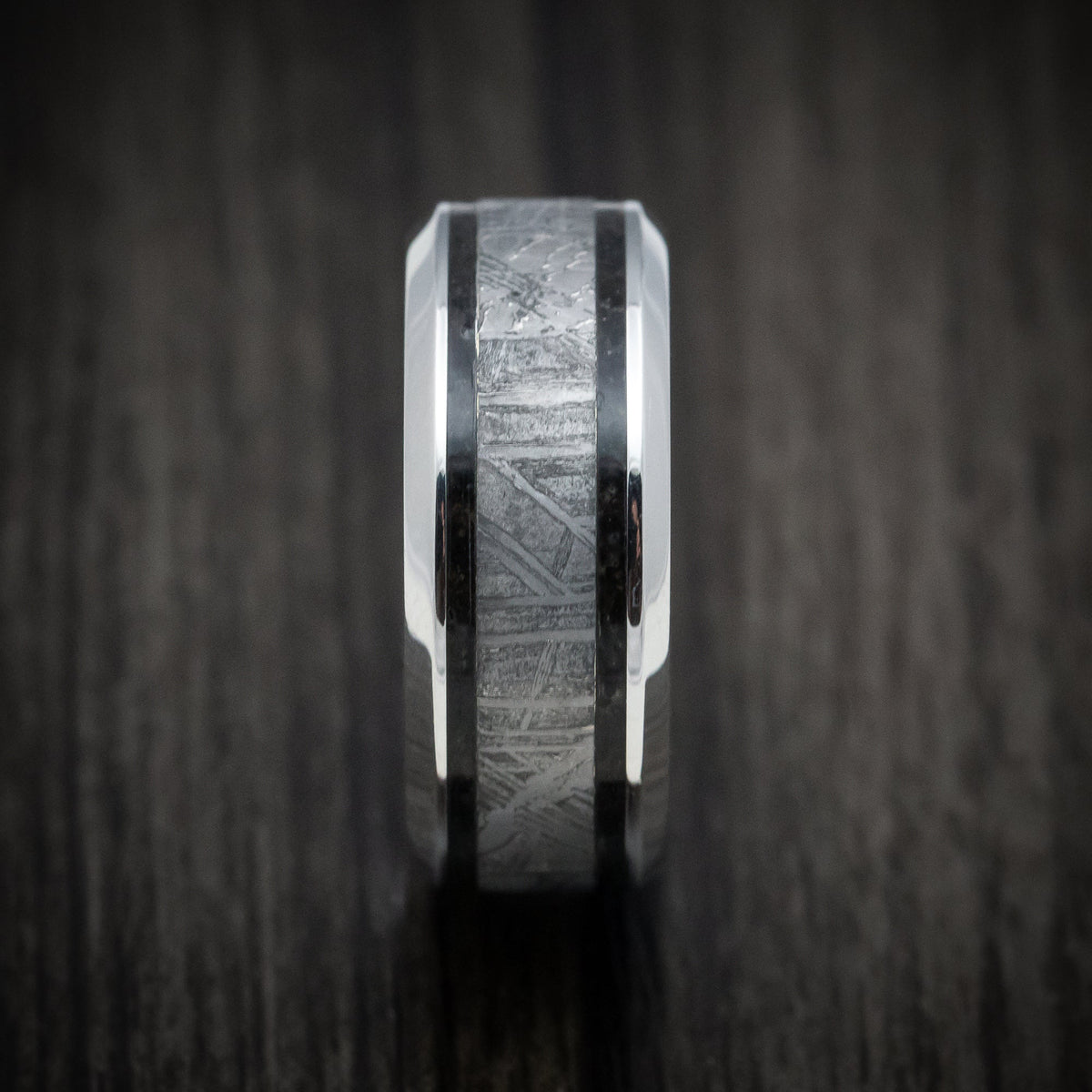Dusk XVI - Cobalt Chrome Men's Wedding Ring with Dinosaur Bone and Meteorite Inlays Band - view 3 - Nura Lab