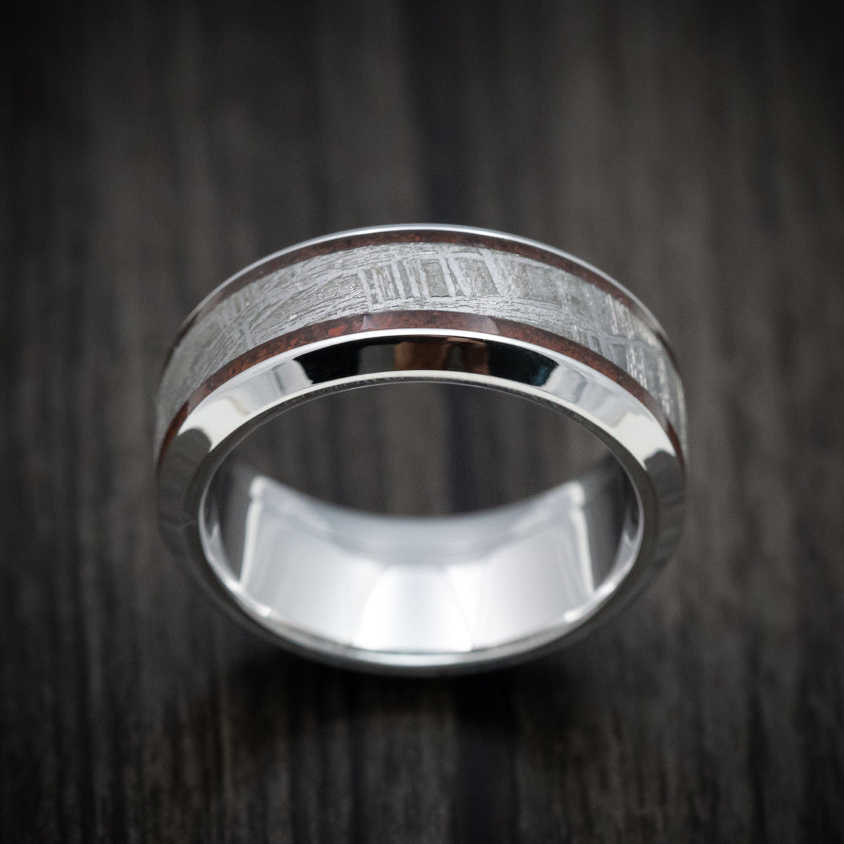 Albatross XVI - Cobalt Chrome Men's Wedding Ring with Dinosaur Bone and Meteorite Inlays Band - view 2 - Nura Lab
