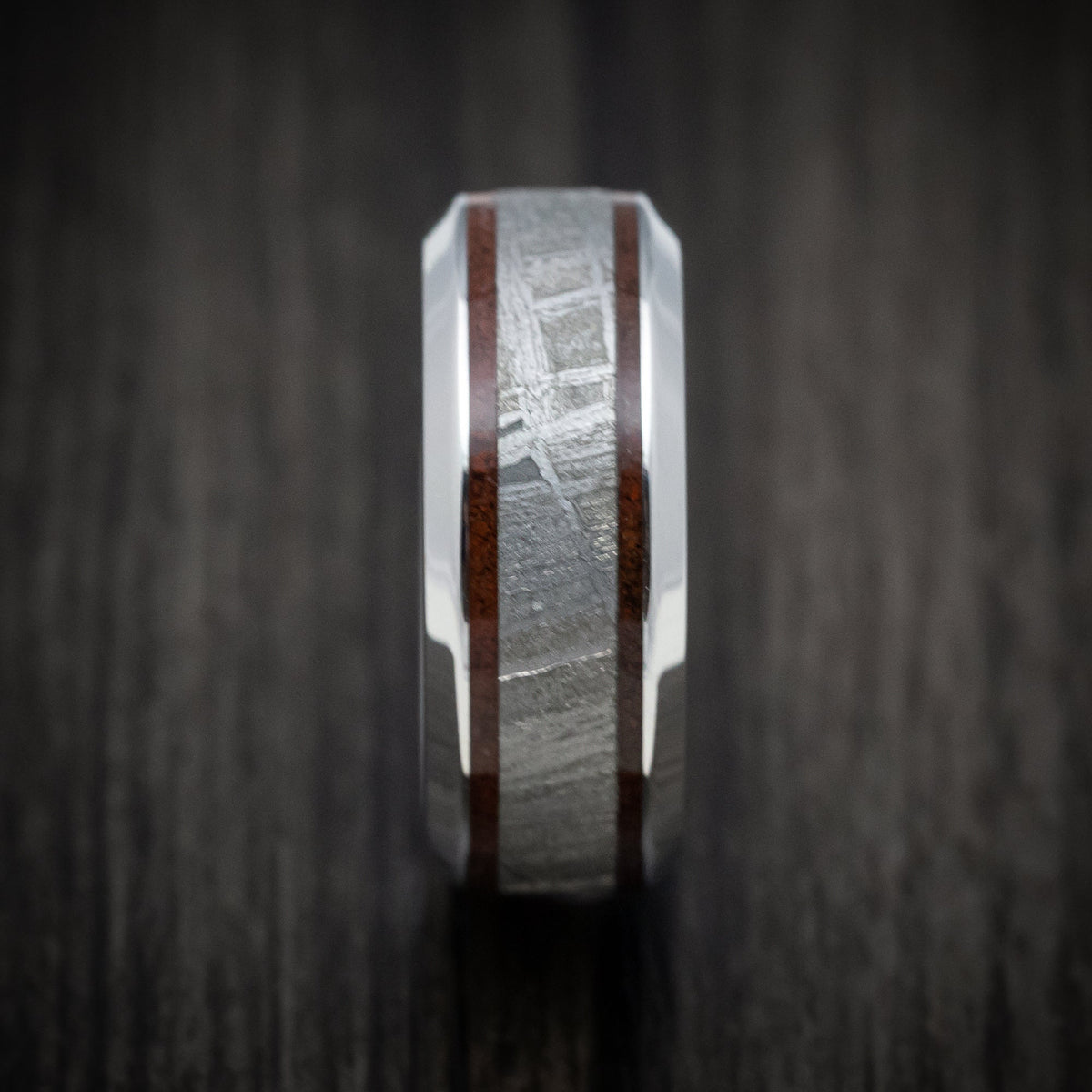 Albatross XVI - Cobalt Chrome Men's Wedding Ring with Dinosaur Bone and Meteorite Inlays Band - view 3 - Nura Lab