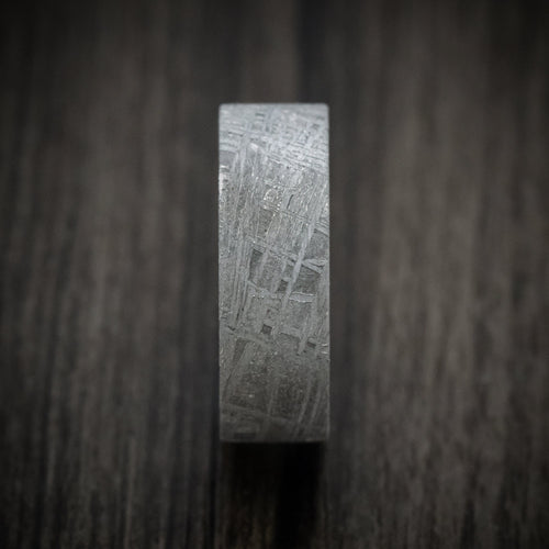 Tasman XII - Gibeon Meteorite Men's Wedding Ring with Wood Sleeve Band - view 3 - Nura Lab