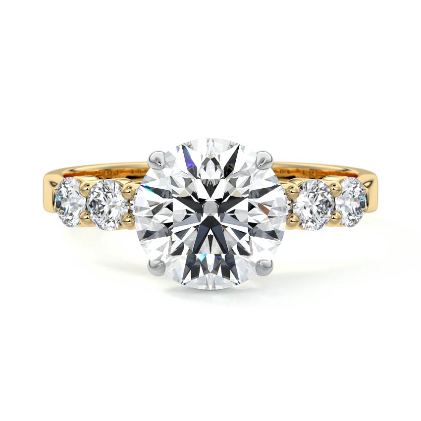 Gaia - Round Yellow Gold Engagement Ring Detail View | Nura Lab