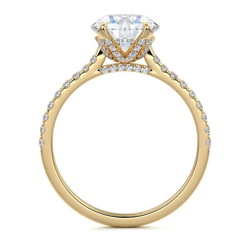Minerva - Round Yellow Gold Engagement Ring Detail View | Nura Lab
