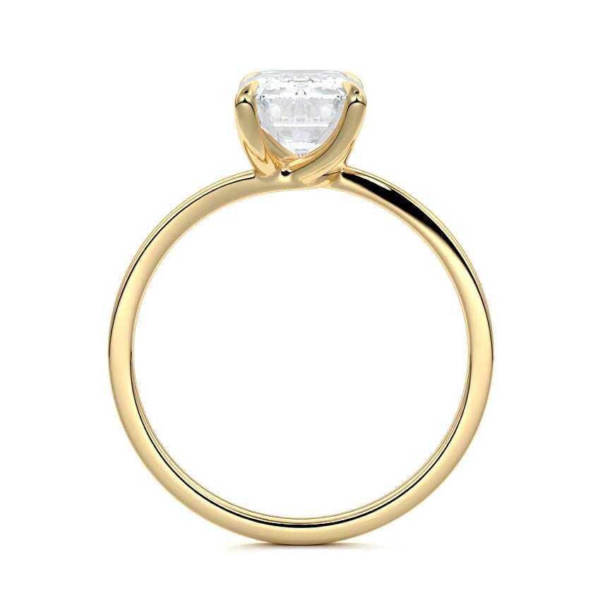 Fani - Emerald Cut Yellow Gold Engagement Ring Profile View | Nura Lab