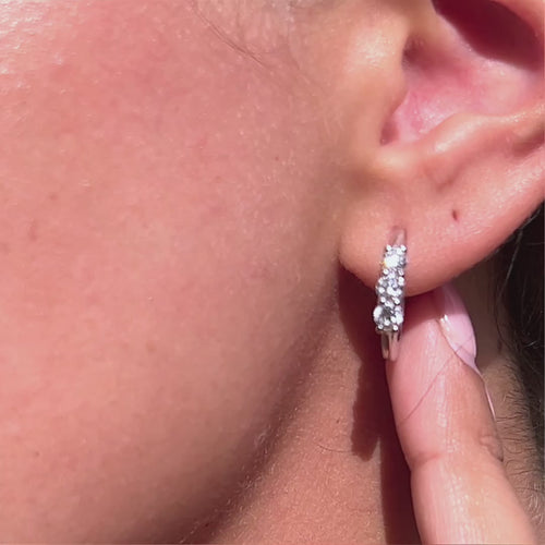 2ct Trilogy Earrings.
